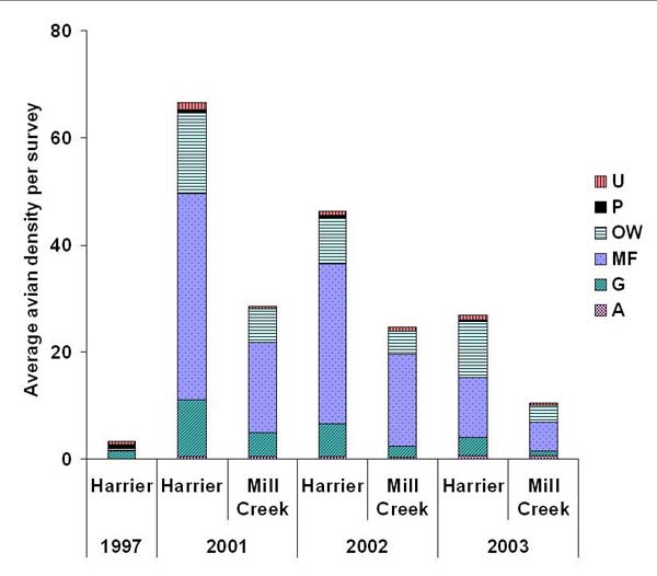 Average density per survey for six foraging guilds at Harrier Meadow and Mill Creek after restoration. Guilds include upland foragers (U), Phragmites australis foragers (P), open-water foragers (OW), mudflat foragers (MF), generalists (G), and aerial foragers (A).