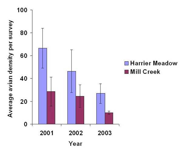 Average (± SE) avian density per survey at Harrier Meadow and Mill Creek during three consecutive years after restoration.