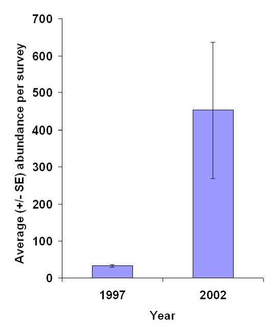 Average (± SE) avian abundance per survey at Harrier Meadow prior to restoration (1997) and after restoration (2002).