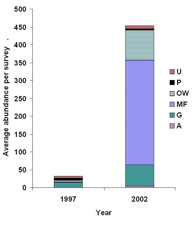 Average abundance per survey of six foraging guilds before (1997) and after (2002) restoration at Harrier Meadow. Guilds include upland foragers (U), Phragmites australis foragers (P), open-water foragers (OW), mudflat foragers (MF), generalists (G), and aerial foragers (A).