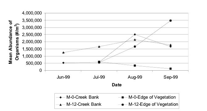 Mean abundance (#/m²) of benthic invertebrates between the creek bank and the edge of the vegetation habitats. Samples were taken at the 12-year-old Mitigation Site (M-12) and New Mitigation Site (M-0) from June to September 1999.