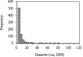 Figure 7. Frequency distribution of all tree diameters within the 0.5-hectare plot in Forest Park (n=771). Tree diameters ranged from 2.0 to 116.7 cm, DBH (Weibull fit, w2=9.376; p<0.01). 