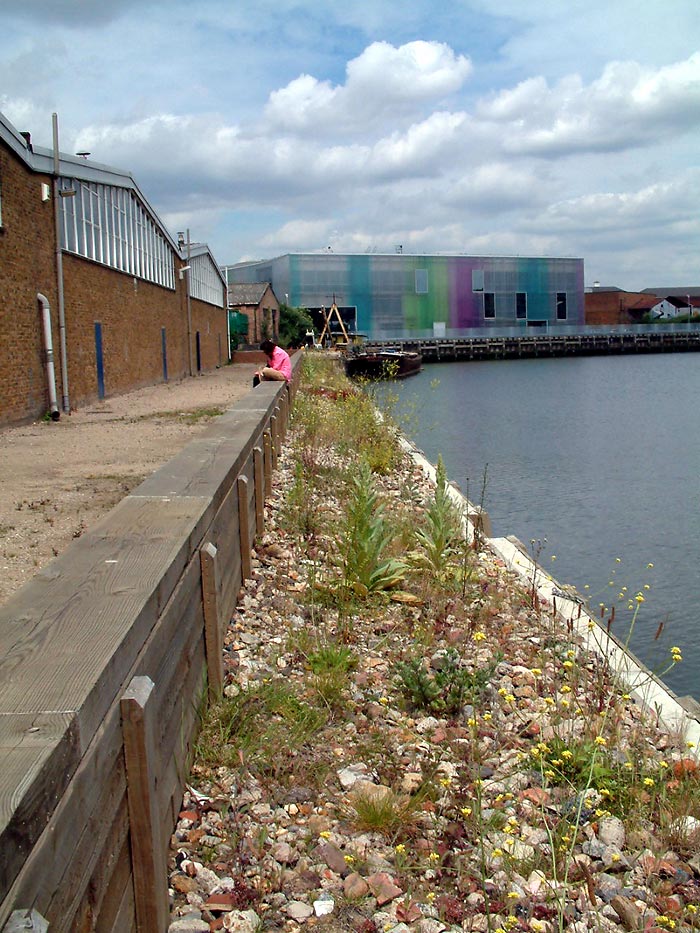 Figure 3. Sentinal, flood defence wall (brownfield site), Deptford, London
