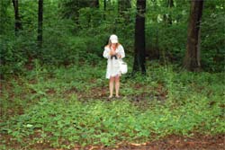 Figure 2: Former picnic grounds vegetated with Geum vernum. One author (Dankel) stands on a concrete slab that once supported a barbecue grill. A mixed hardwood forest is in the background. (Photo by A. Greller; taken June 8, 2006)