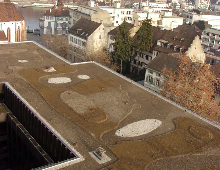 Newly constructed green roof on the Klinikum 2 of the Cantonal Hospital of Basel, built in accordance with the cityâ€™s new guidelines on green roofs and urban biodiversity. (Photo: Stephan Brenneisen)