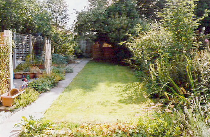 Figure 2b: Looking east along the study garden (as marked on figure 2a). Note the dense shrubs and trees at the far end and the high, dense barrier in the garden to the north and along parts of the southern margins.