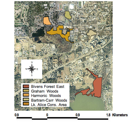 Figure 1. Forest remnants included in herpetofaunal sampling on the University of Florida campus in Gainesville, Florida.