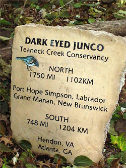 An engraved and painted concrete rubble Migration Milepost depicting species observed on the Teaneck Creek Conservancy site using the Atlantic Flyway as their migratory route.