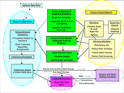 Flow chart showing relationships among all proposed entities and activities in the native seed procurement and production equation.