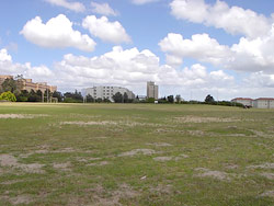 This image depicts the sport grounds and other open areas on campus that are kept neat by mowing.